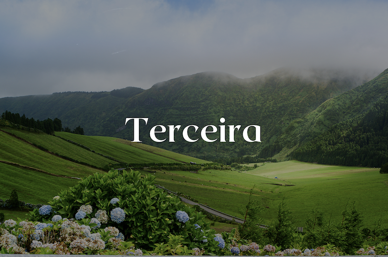 Green pastures in Terceira Azores